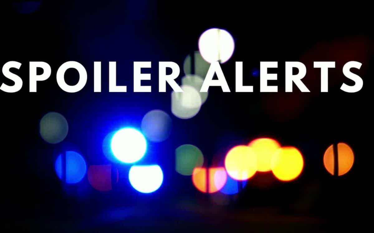 Platforms, Publishers, Constitutional Challenges and the biggest case in America